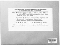 Image Associated With the Occurence